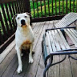 Meet your Posher, Jillian